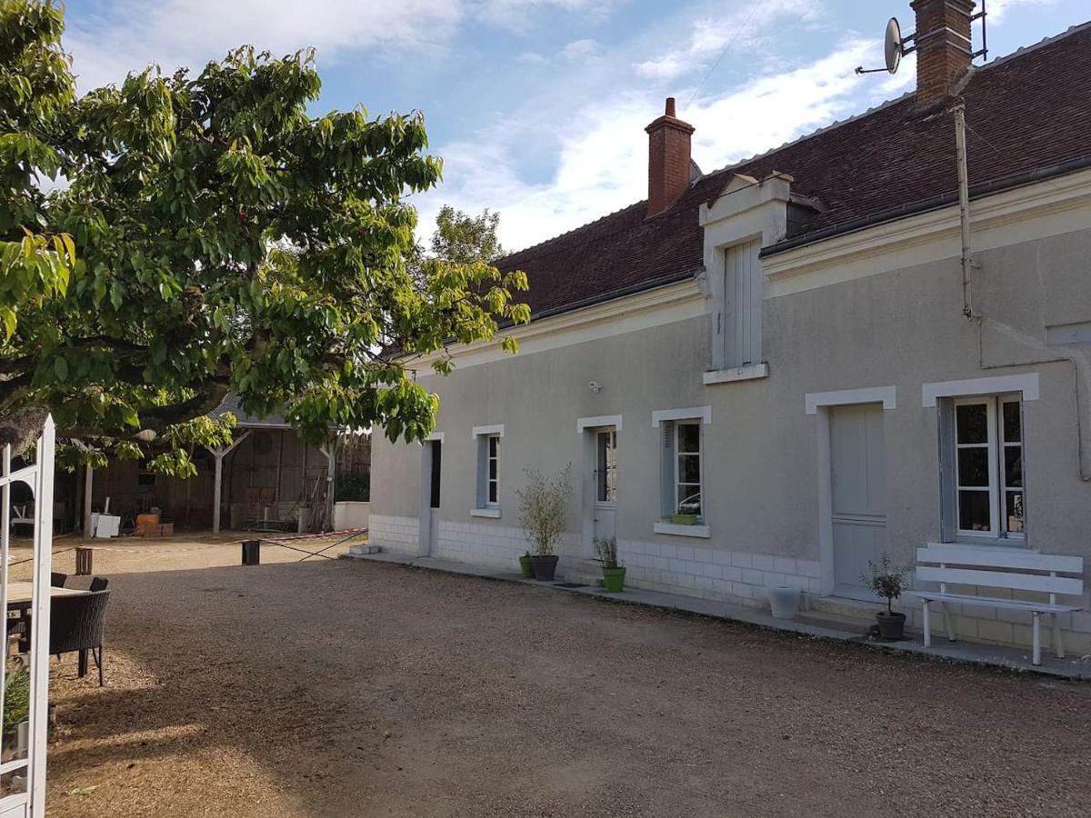 Gite Caves De Beauval Saint-Aignan  Exterior photo